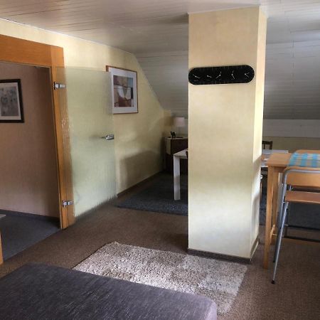 Ironico Homestay 4 Schlafzimmer Ferienwohnung 100 M2 Nahe Bostalsee Eisen  ภายนอก รูปภาพ