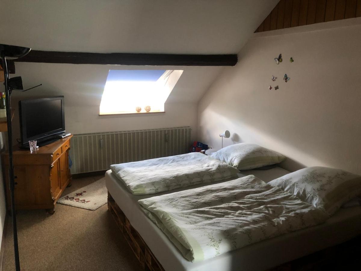 Ironico Homestay 4 Schlafzimmer Ferienwohnung 100 M2 Nahe Bostalsee Eisen  ภายนอก รูปภาพ